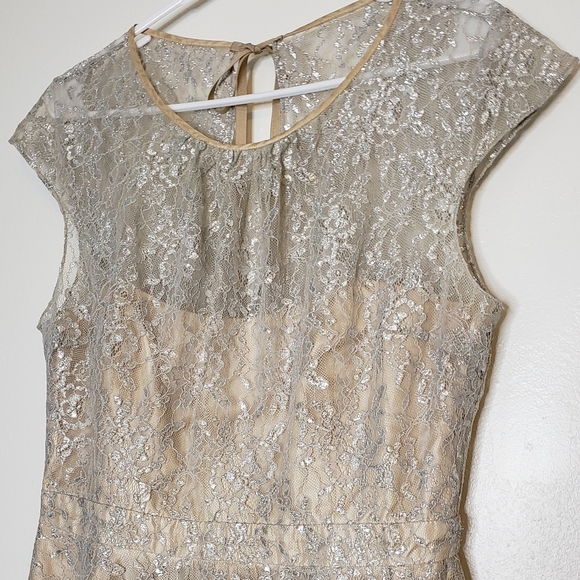 NEW RARE Slate & Willow Champagne Illusion Neckline Glistening Lace Spin Dress - Picture 5 of 16